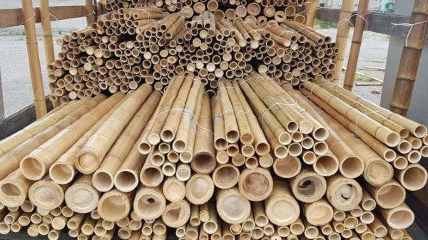 Inspiratie: 5 ideeën voor bamboe in de tuin