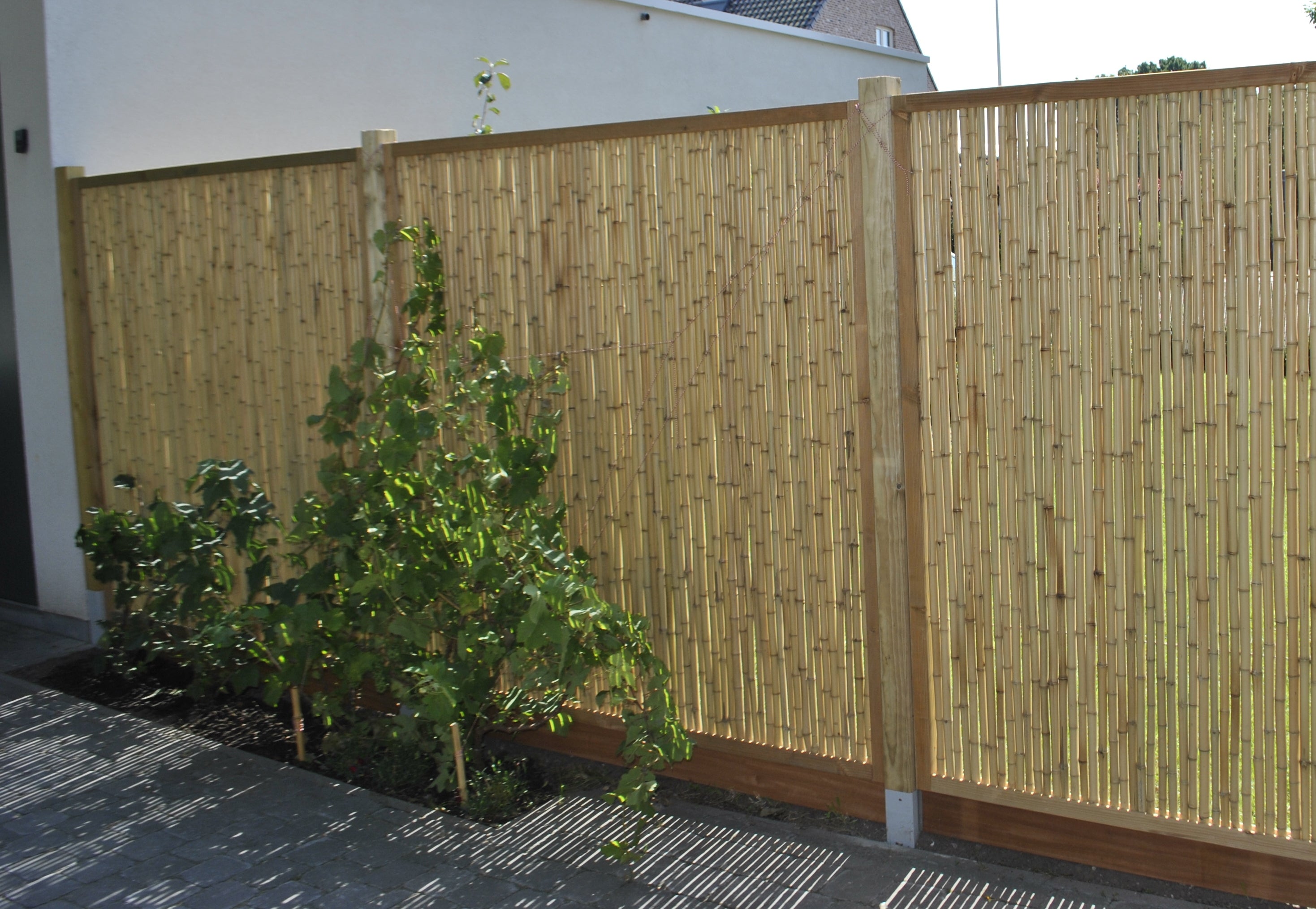 Montage van bamboematten: jouw stap-voor-stap gids voor een prachtige tuinafscheiding