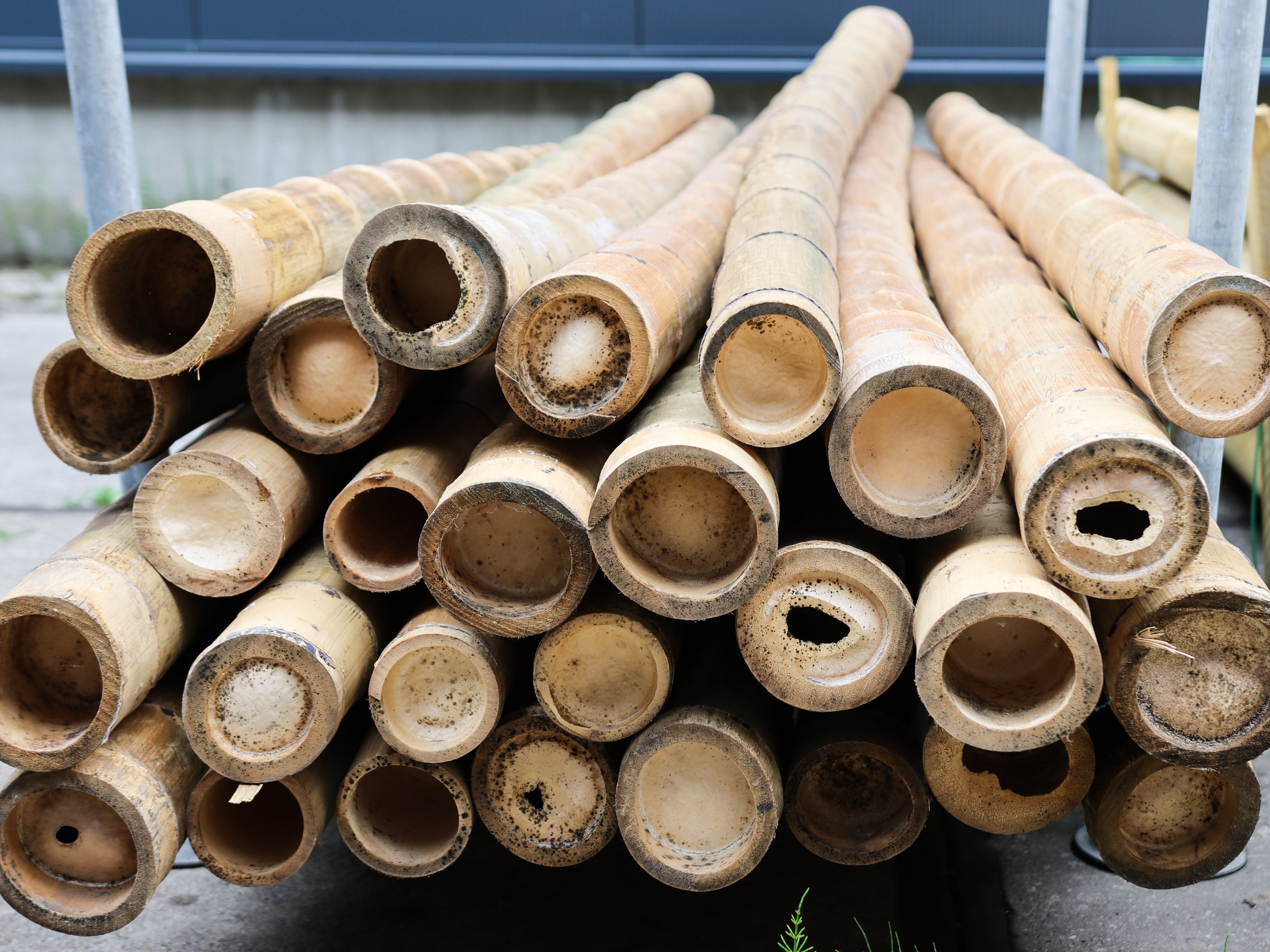 Een optimaal groene tuin met bamboestokken