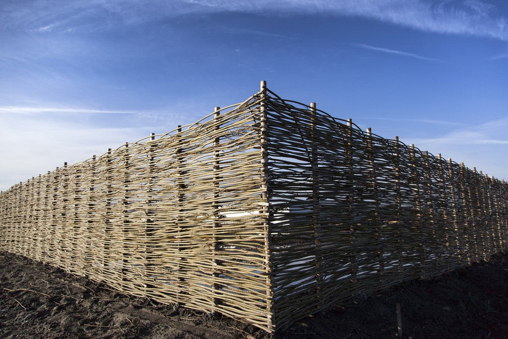 Voordelen van een natuurlijke tuin creëren met wilgentakken
