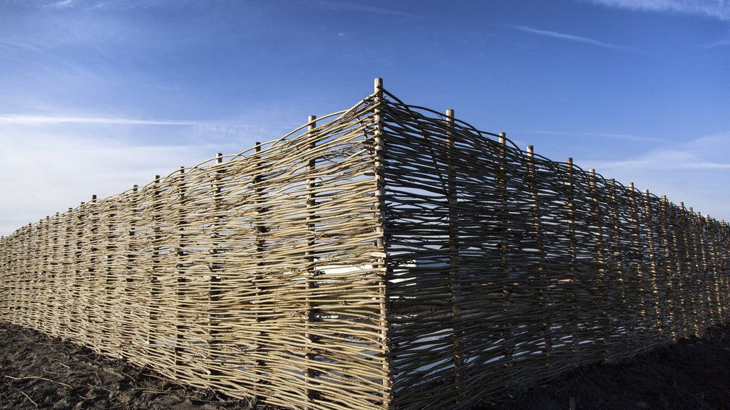 Voordelen van een natuurlijke tuin creëren met wilgentakken