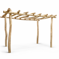 Pergola Robinia