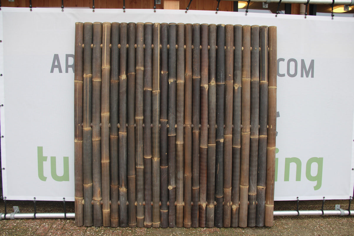Bamboe schutting Giant | Zwart | Verschillende maten