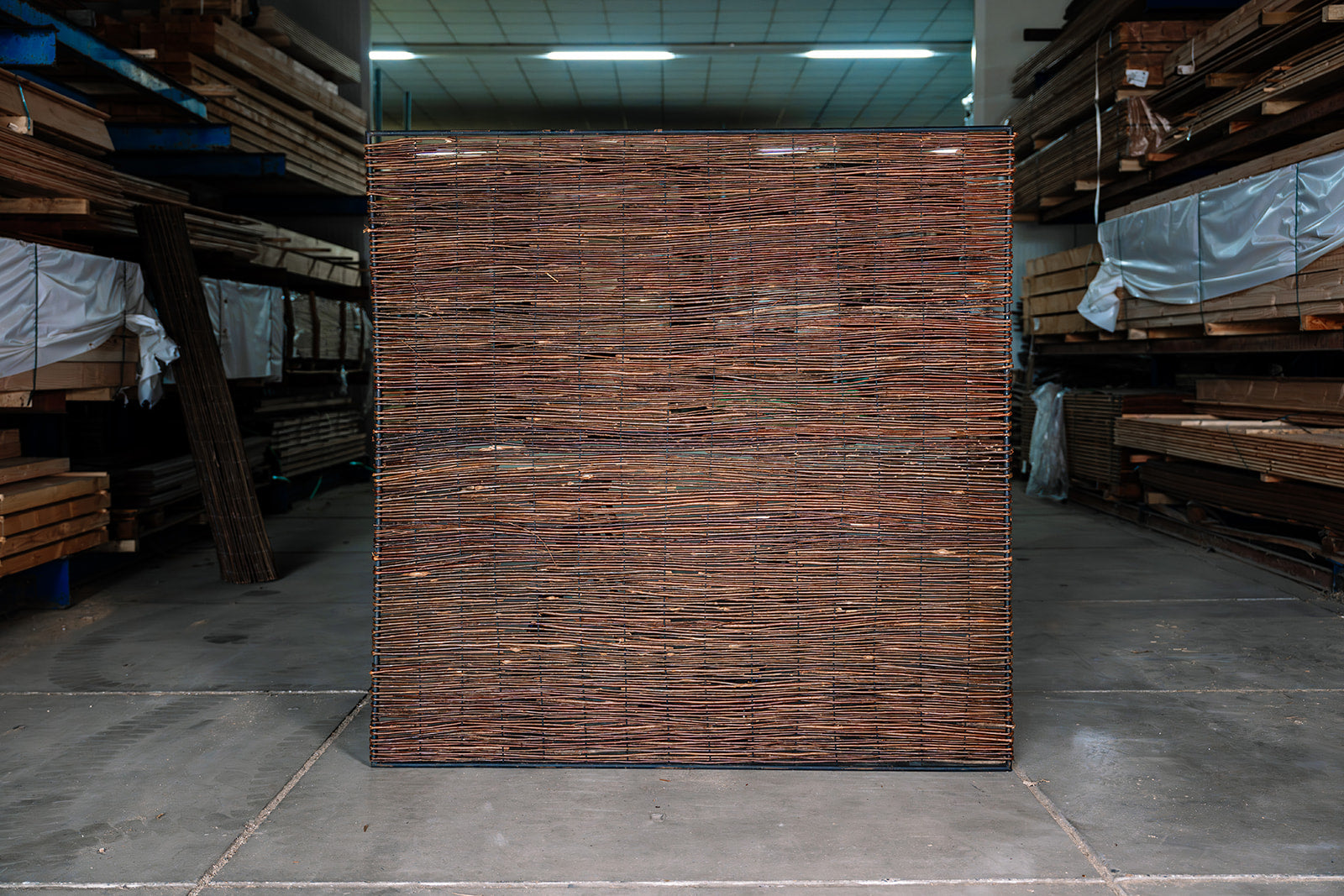 Wilgenschutting Avantgarde | Verschillende maten