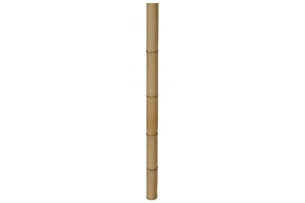 Bamboestok Naturel | ø 3-4 cm | 250 cm