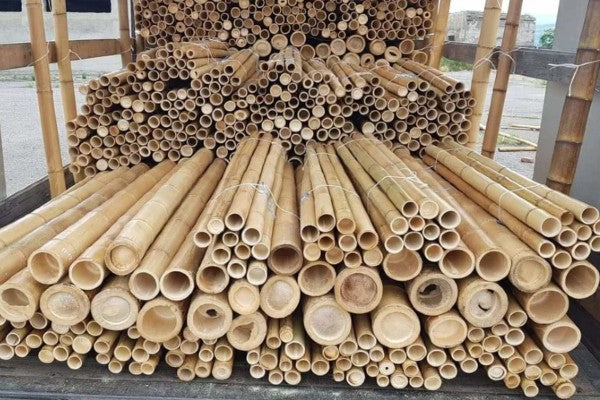 Bamboestok Naturel | Ø 4-5 cm | 250 cm