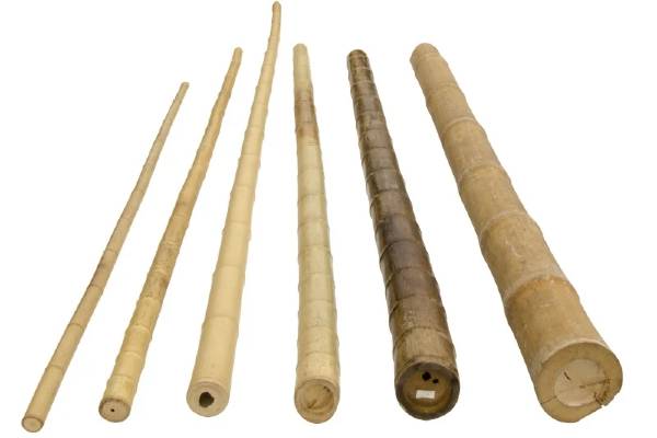 Bamboestok Naturel | Ø 10-12 cm | Verschillende Lengtes