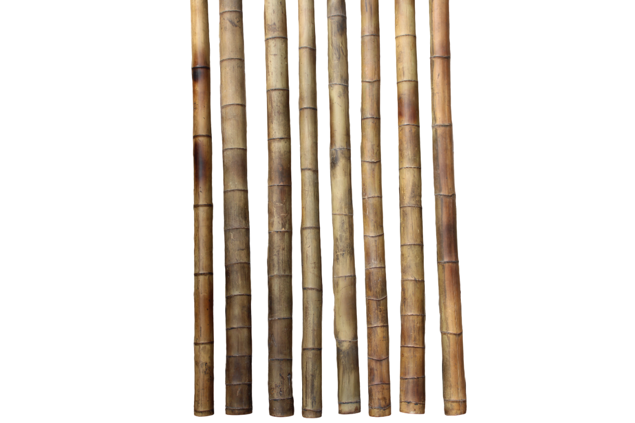Bamboestok Gevlekt | Ø 10-12 cm | 300 cm