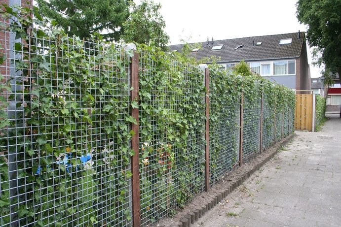 Gaaspaneel | Verzinkt | Verschillende Maten