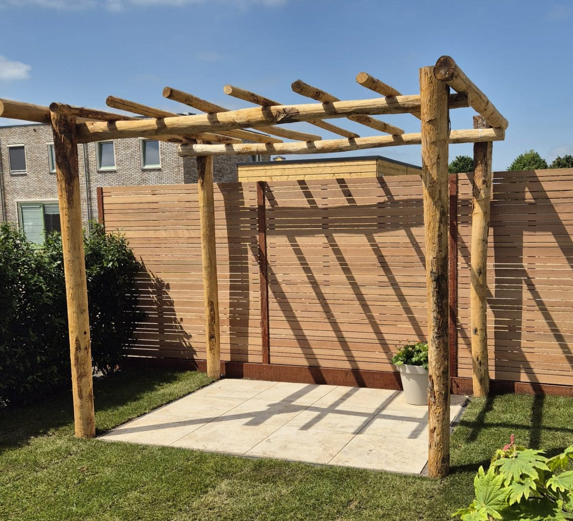 Kastanje Pergola | 300x300 cm