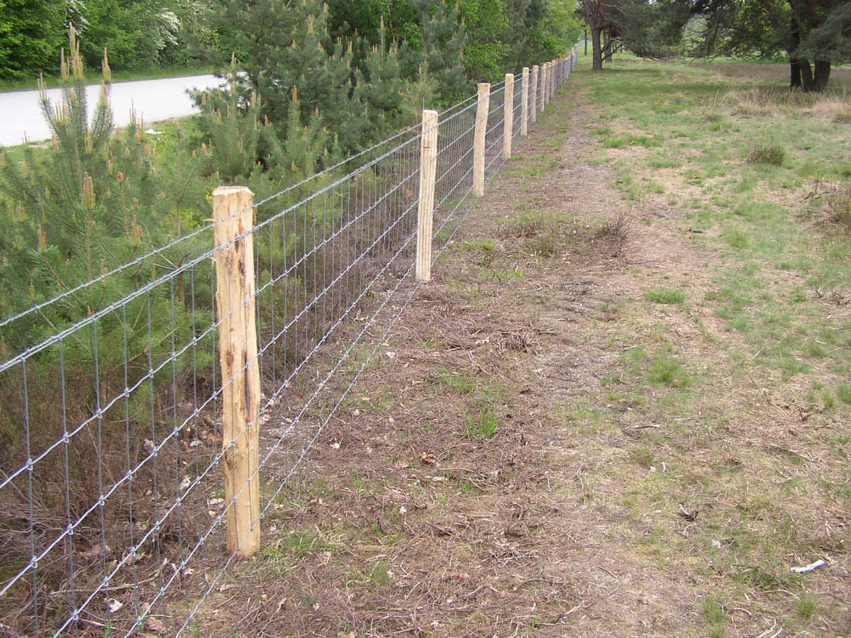 Robinia paal Geschild | Ø 12/14 CM | Verschillende Lengtes
