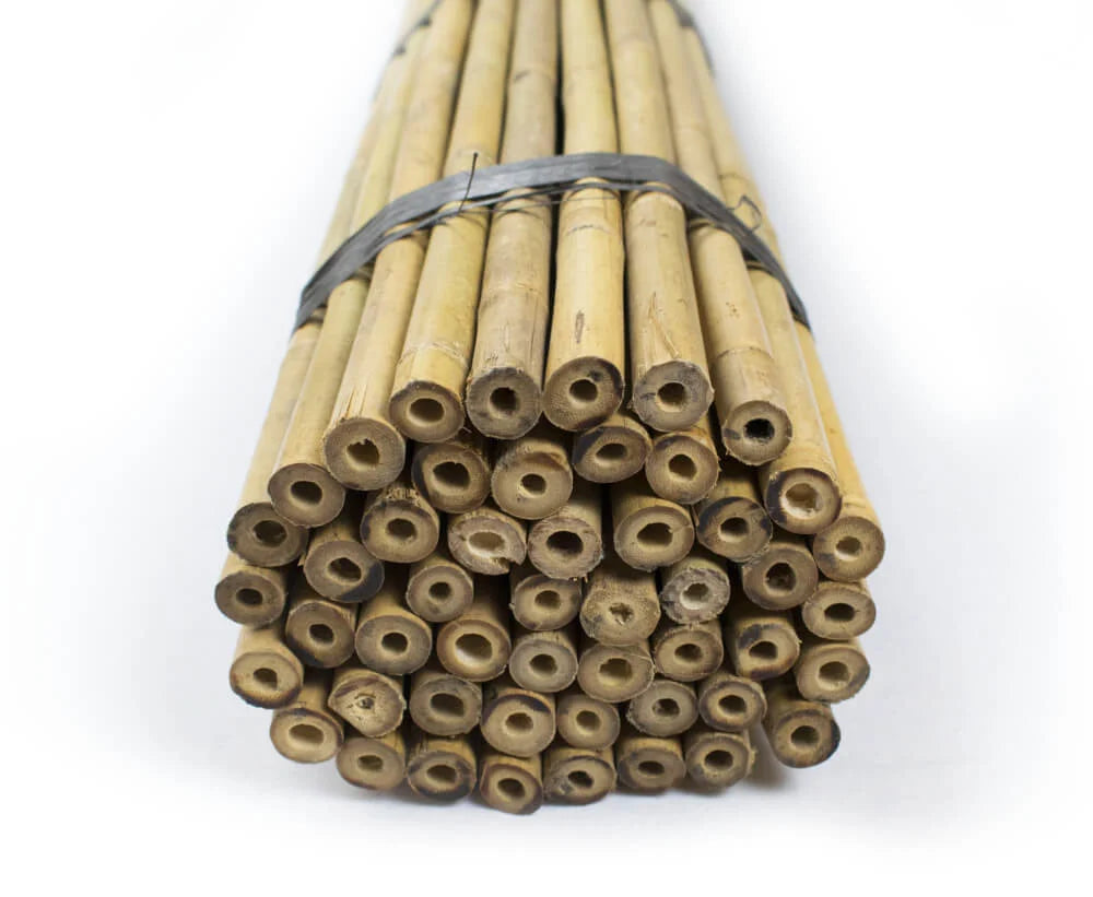 Tonkinstokken 16/18 mm | 100 stuks | Verschillende Lengtes