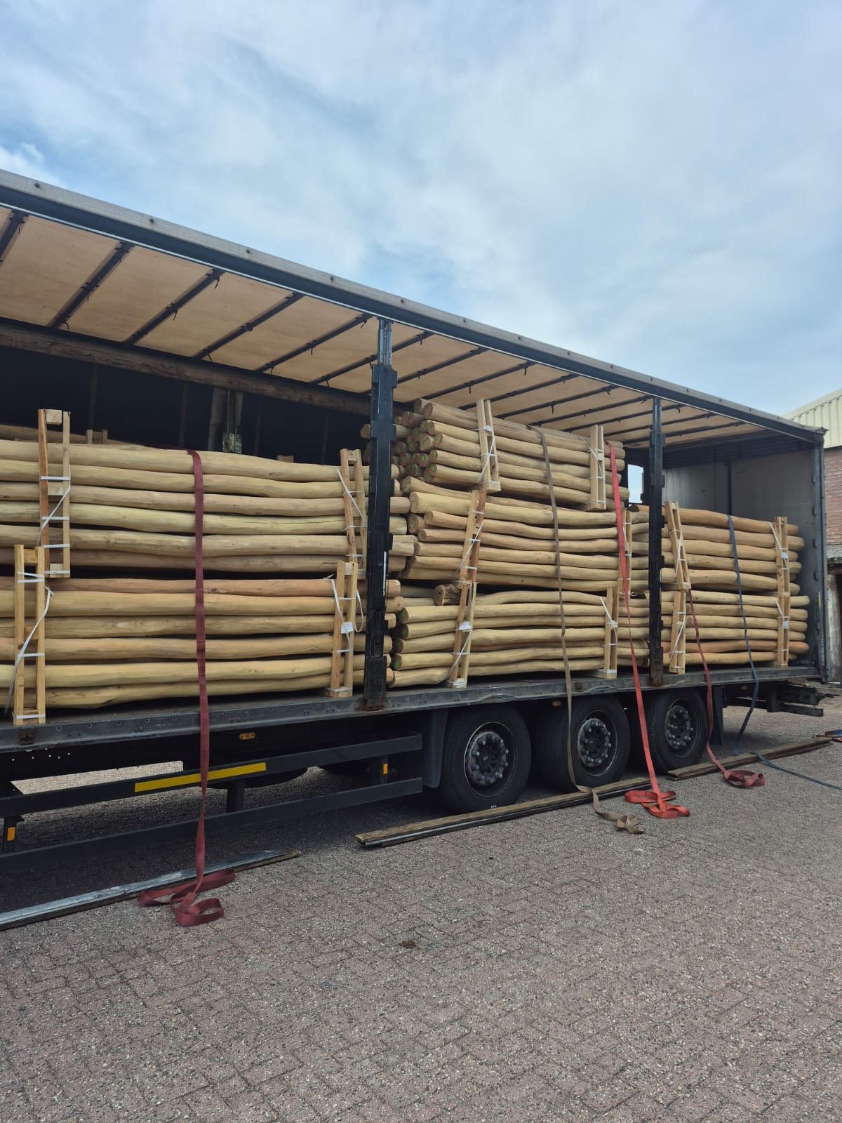 Robinia paal spintvrij geschuurd Ø 12/14 cm | Verschillende lengtes