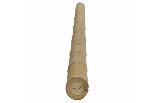 Bamboestok Naturel | Ø 10-12 cm | Verschillende Lengtes