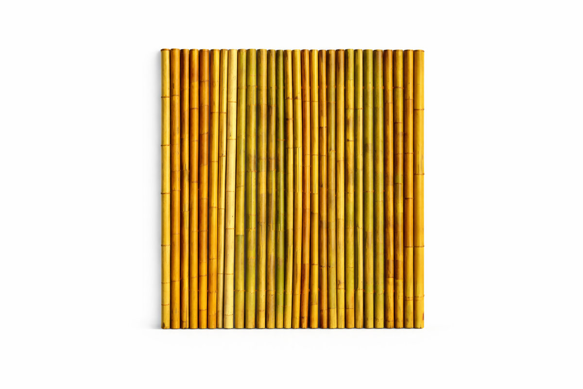 Bamboe Schutting Giant | Naturel | 180x180 cm