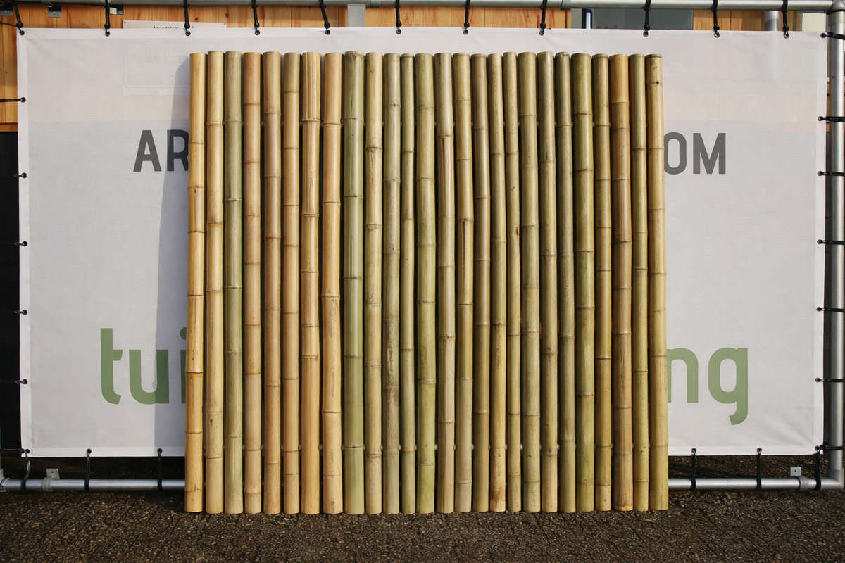 Bamboe Schutting Giant | Naturel | 180x180 cm