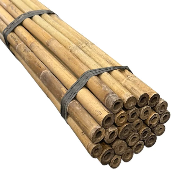 Tonkinstokken 28/30 mm | 25 stuks | 420 cm