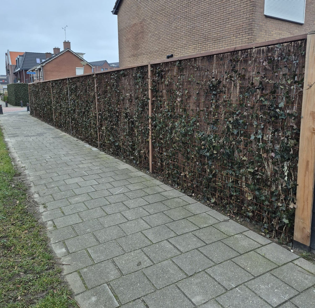 Heidemat 180x500 cm (65% Zichtdicht)
