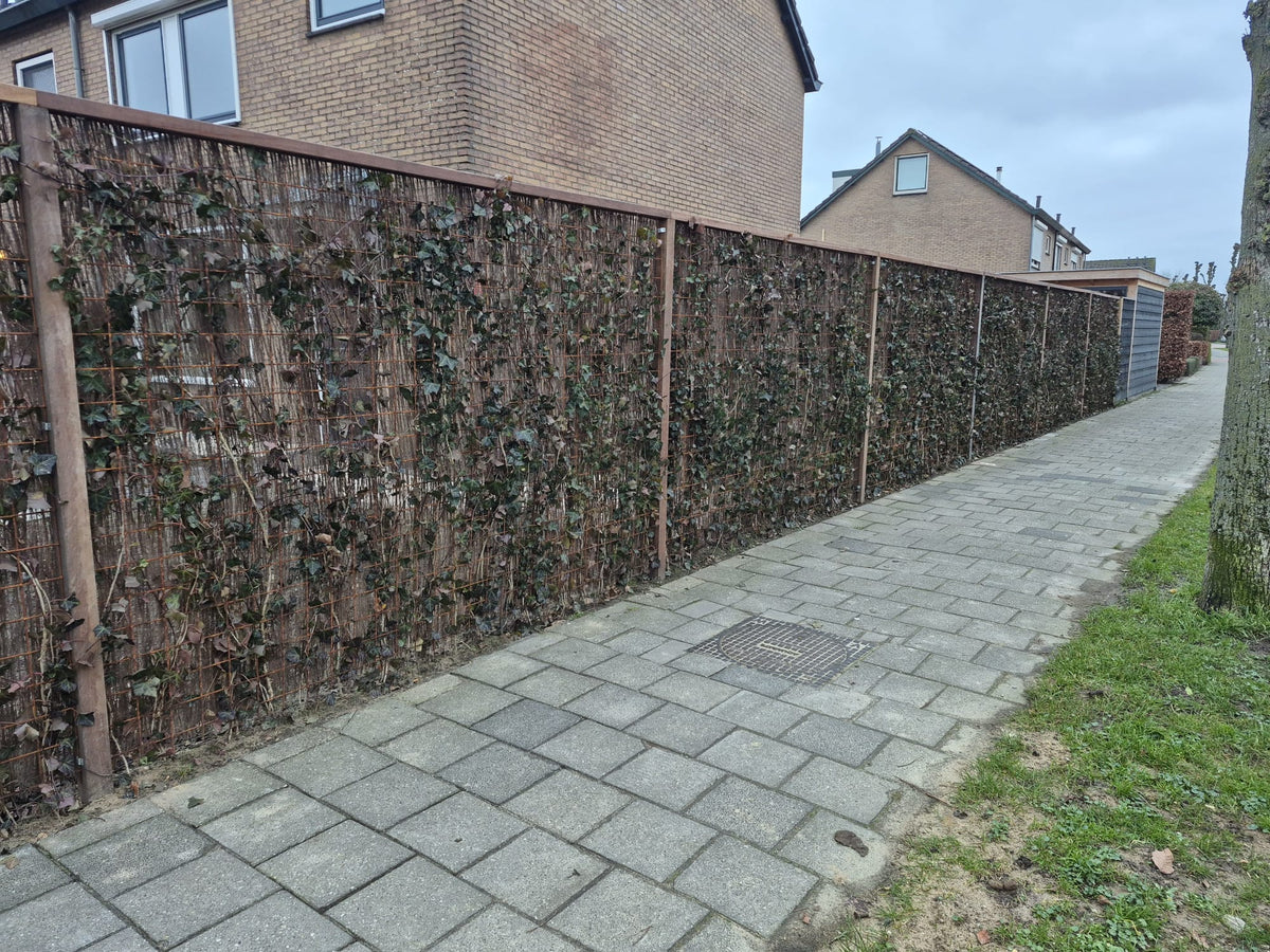 Heidemat 100x500 cm (65% Zichtdicht)