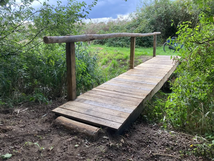 Kastanje Plank | Bezaagd | 3x15x250 cm