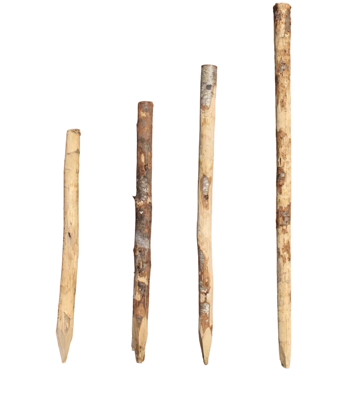 Kastanjepaal Ø 4/6 cm | Verschillende lengtes
