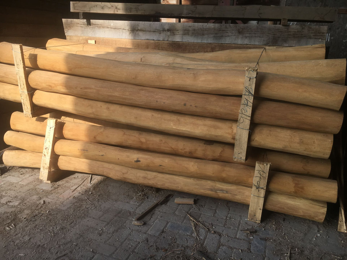 Robinia paal Spintvrij Geschuurd Ø 16/19CM | Verschillende Lengtes