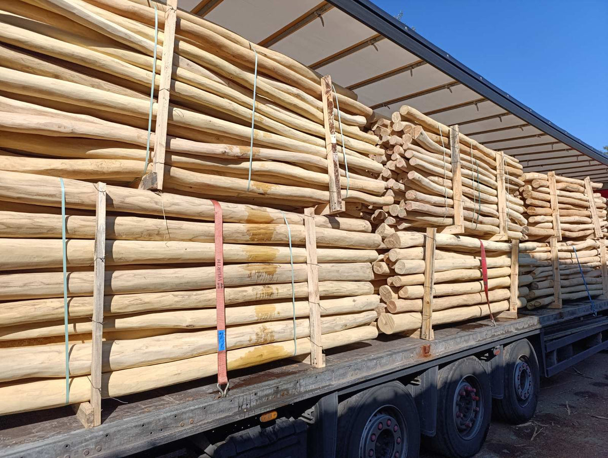 Robinia paal Spintvrij Geschuurd Ø 14/16 CM | Verschillende Lengtes