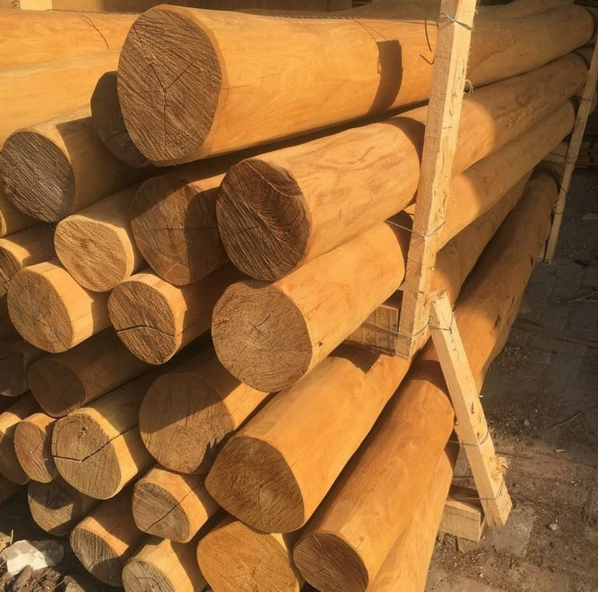 Robinia paal Spintvrij Geschuurd Ø 16/19CM | Verschillende Lengtes