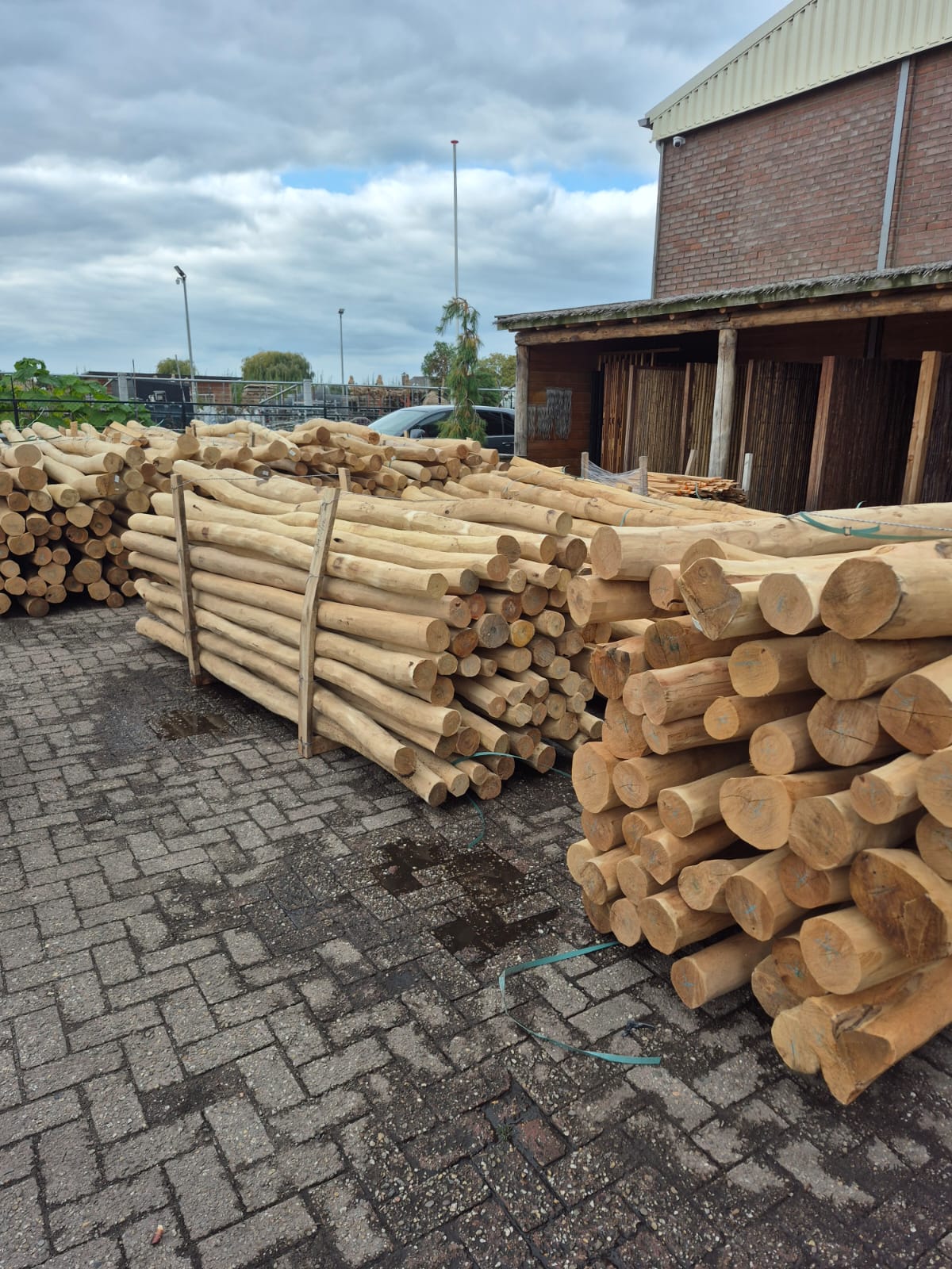 Robinia paal spintvrij geschuurd Ø 10/12 cm | Verschillende lengtes