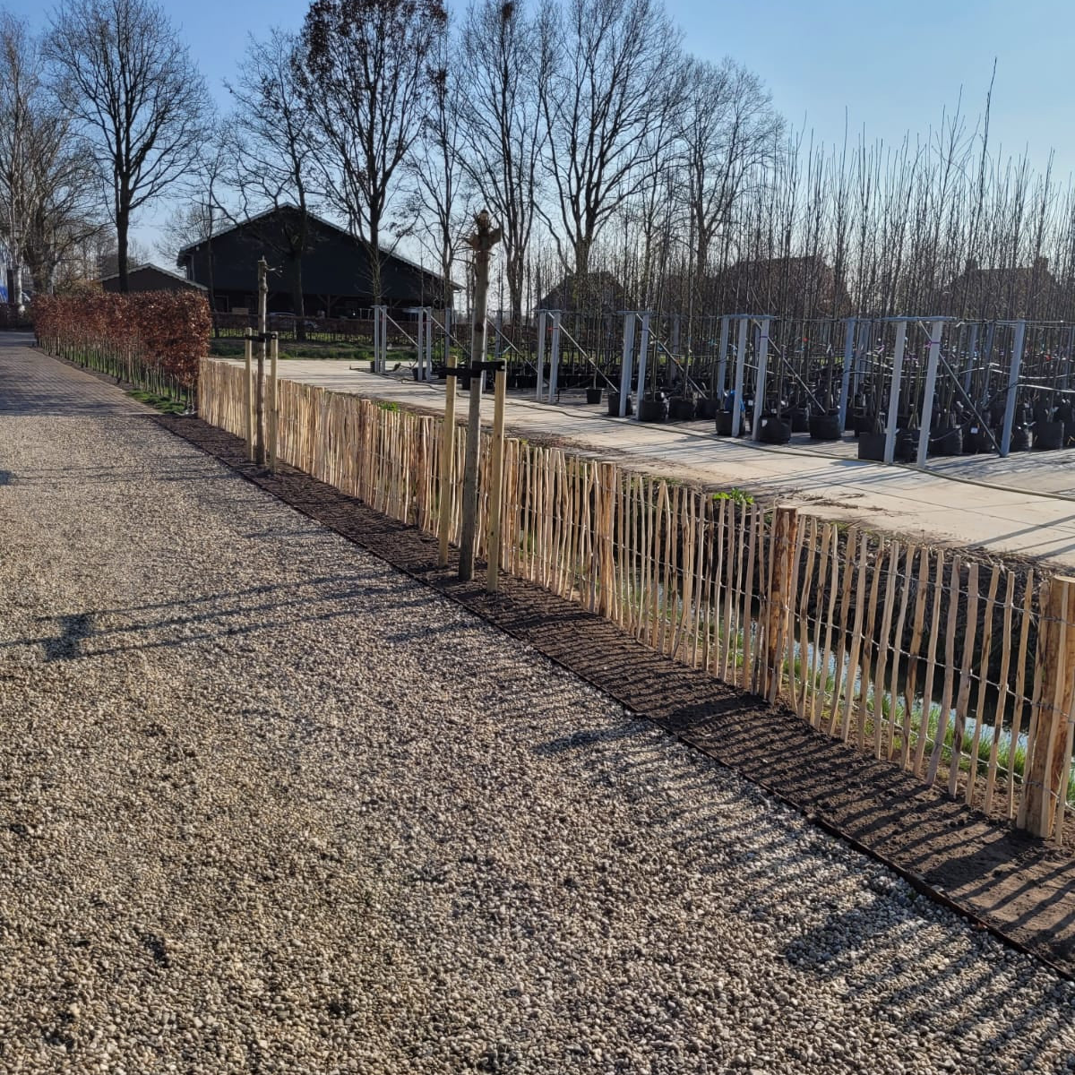 Schapenhek Hazelaar | Latafstand 7-9 cm | Verschillende maten