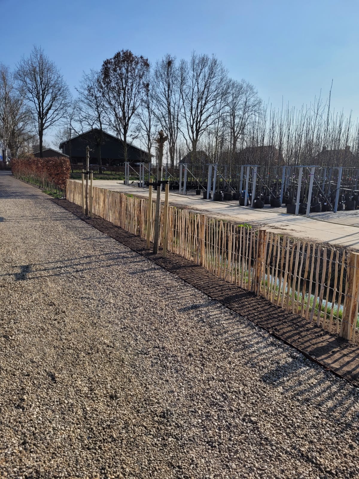 Schapenhek Hazelaar | Latafstand 7-9 cm | Verschillende maten