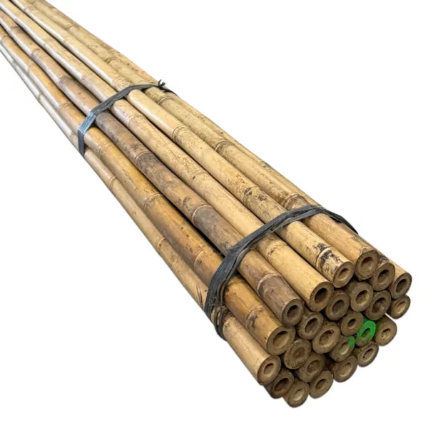 Tonkinstokken 20/22 mm | 50 stuks | Verschillende Lengtes