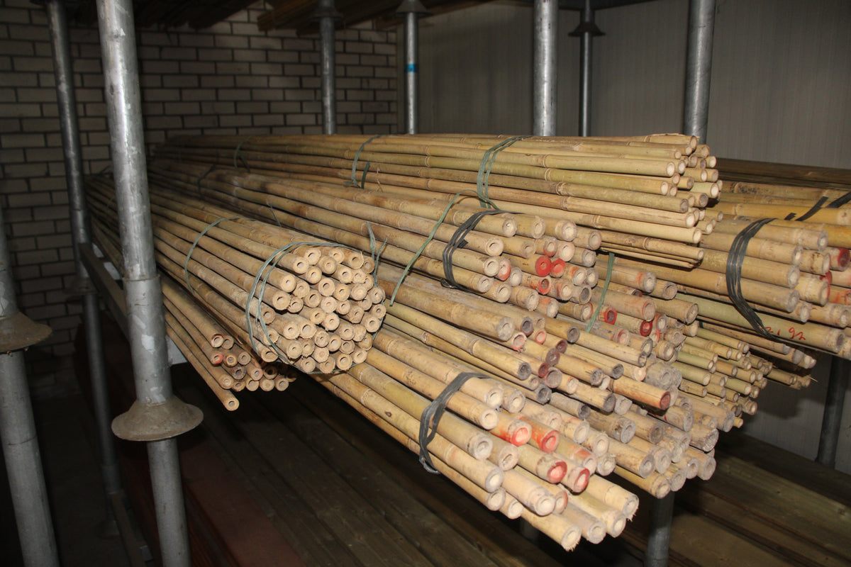 Tonkinstokken 14/16 MM | 100 stuks | Verschillende Lengtes