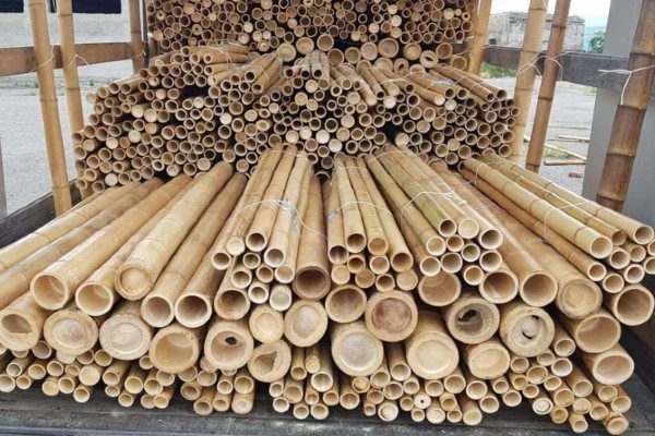 Inspiratie: 5 ideeën voor bamboe in de tuin