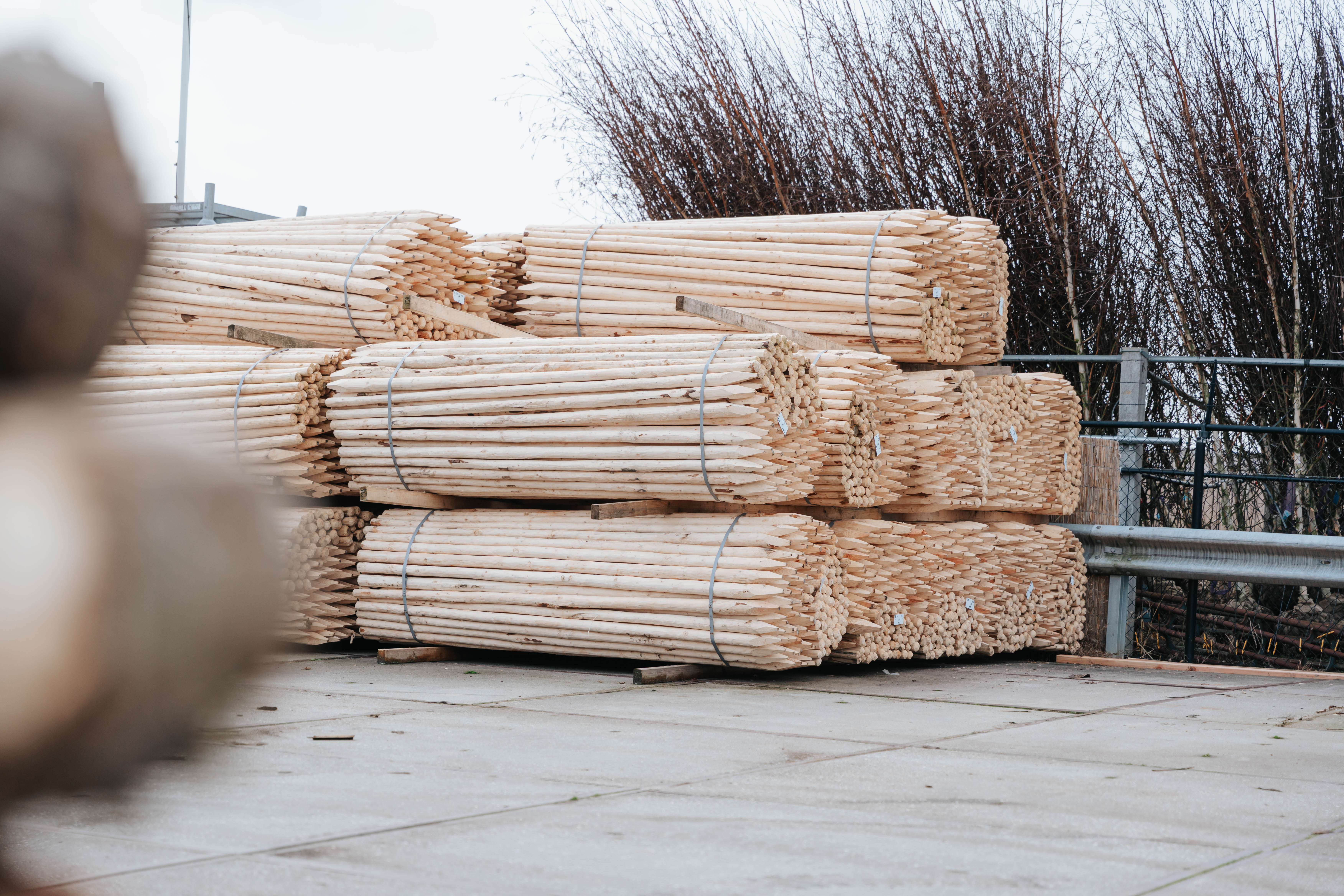 Boompaal Naaldhout Ø 7CM | Onbehandeld | Verschillende Lengtes 