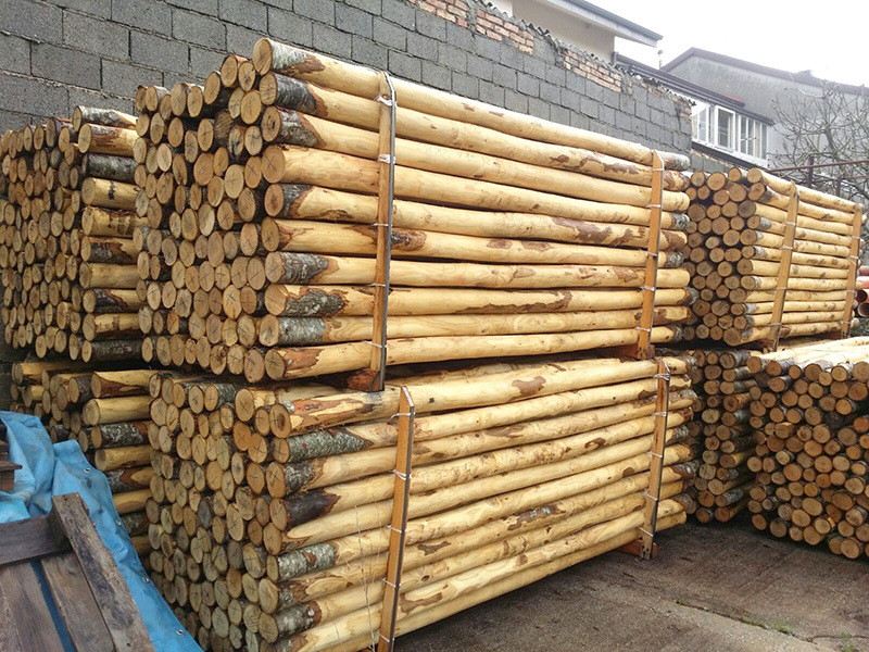 Kastanjepaal Ongepunt