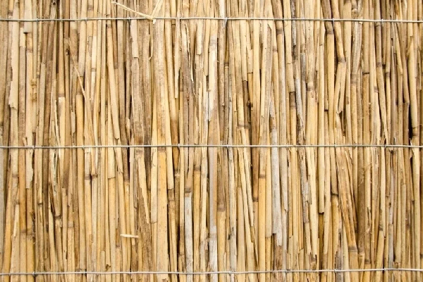 Rietplaat 175x200 cm 