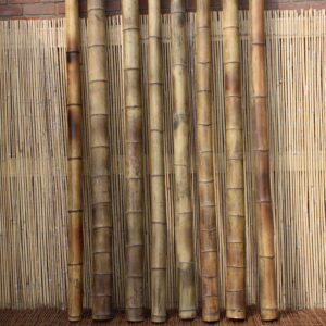 Bamboe paal gevlekt