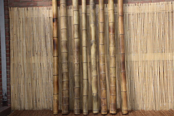 Bamboe paal gevlekt